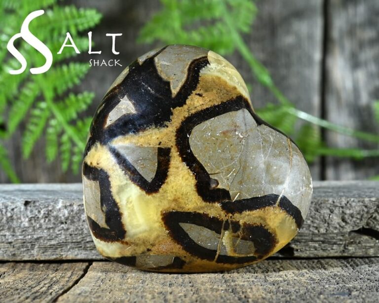 SUSSING OUT SEPTARIAN