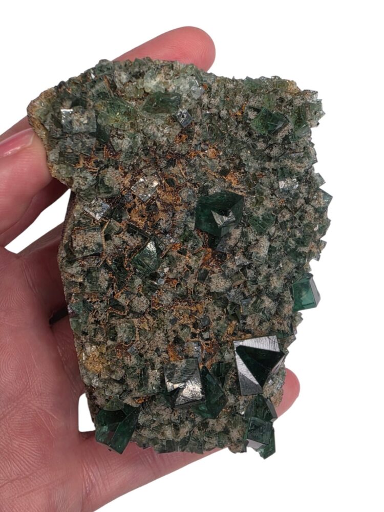 Pyjama Pocket, Fluorite, Diana Maria Mine, Weardale, County Durham, English Minerals, UK Fluorite, Mineral Specimen, Crystal Collection, Fluorescent Fluorite, Rare Fluorite, British Minerals