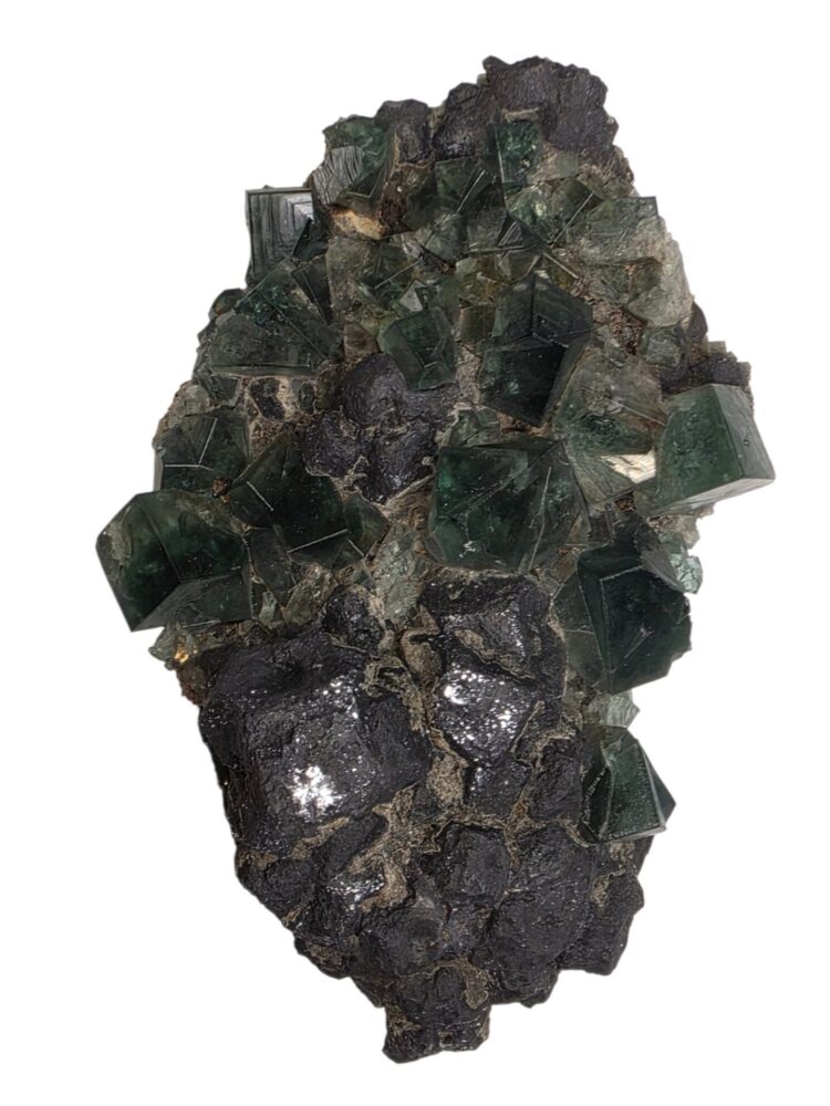 Pyjama Pocket Fluorite With Galena – Diana Maria Mine, England - Image 4