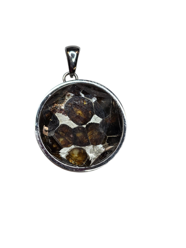 Pallastite pendant